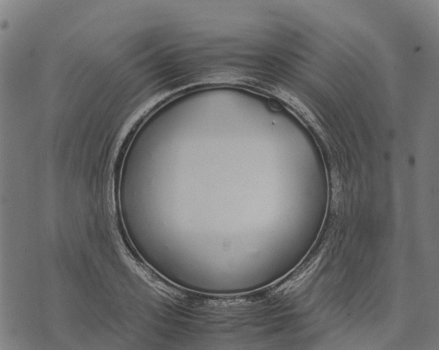 X0000070380939200606231709