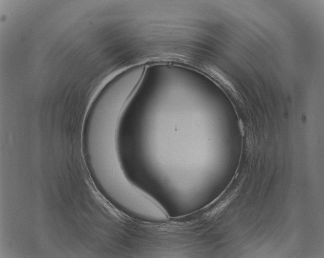 X0000070380940200606231709