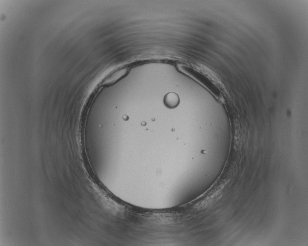 X0000070380942200606231709