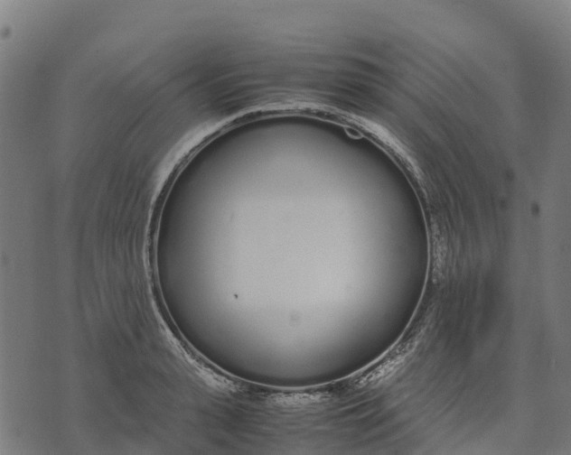 X0000070380943200606231709