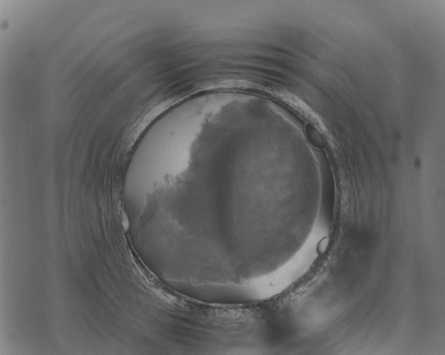 X0000070380945200606231709