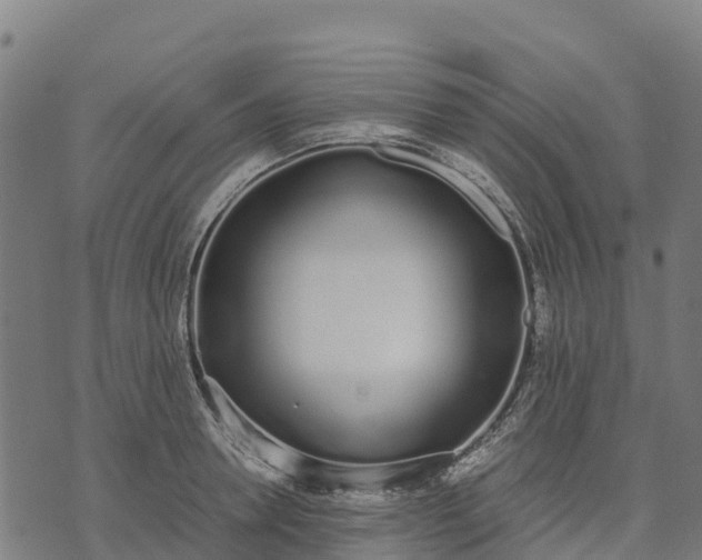 X0000070380946200606231709