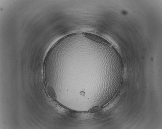 X0000070380948200606231709