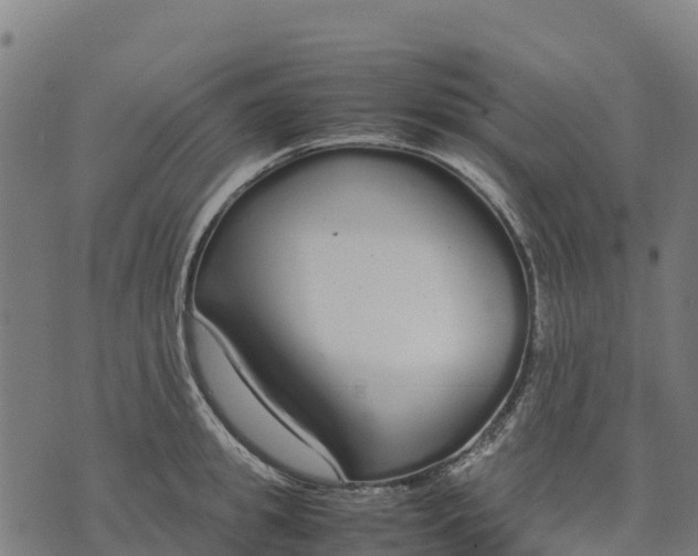 X0000070380949200606231709