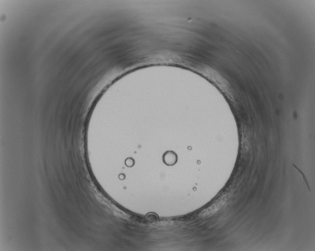 X0000070380950200606231709