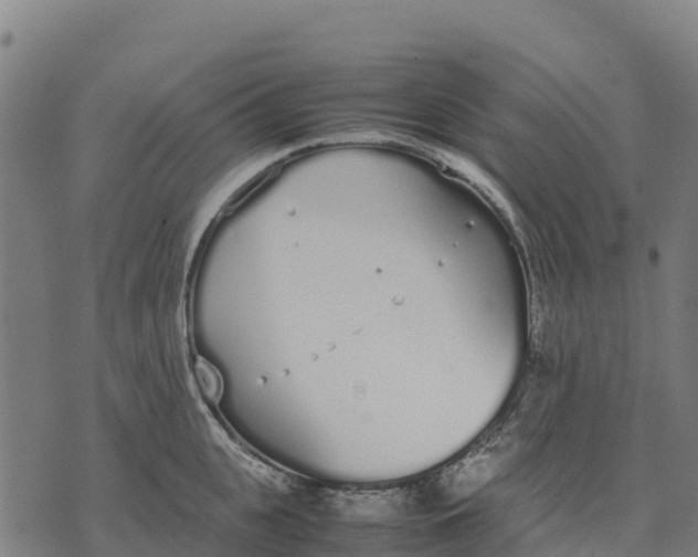 X0000070380951200606231709