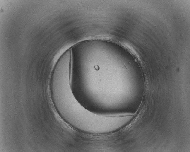 X0000070380952200606231709