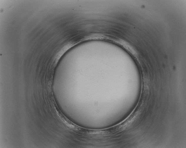 X0000070380953200606231709