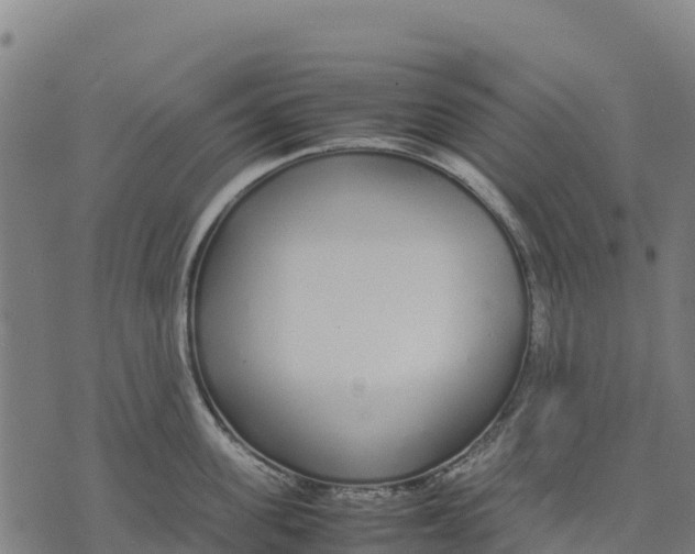 X0000070380955200606231709