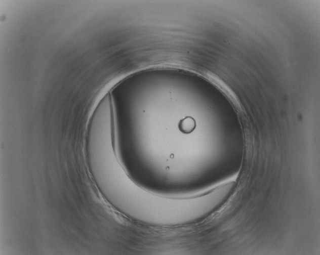 X0000070380956200606231709