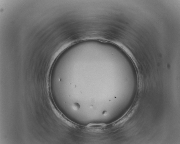 X0000070380957200606231709