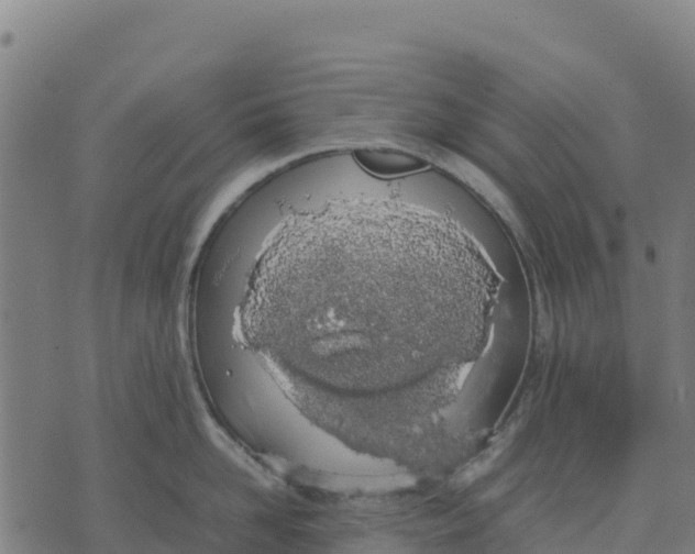 X0000070380958200606231709