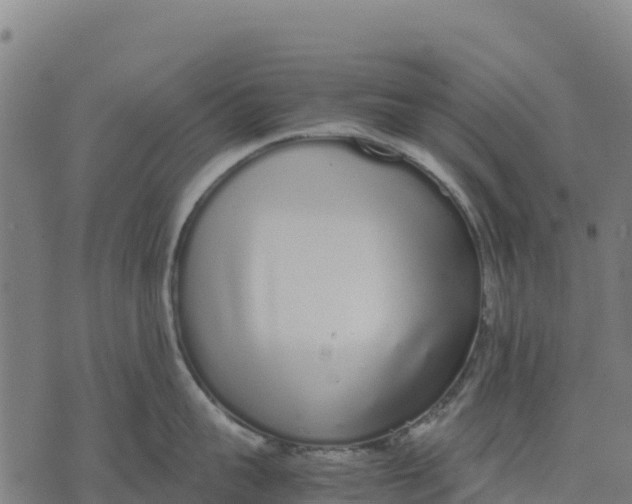 X0000070380959200606231709