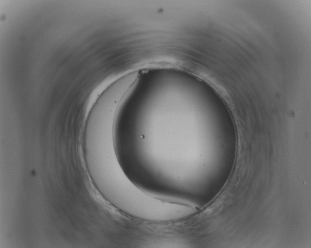 X0000070380960200606231709