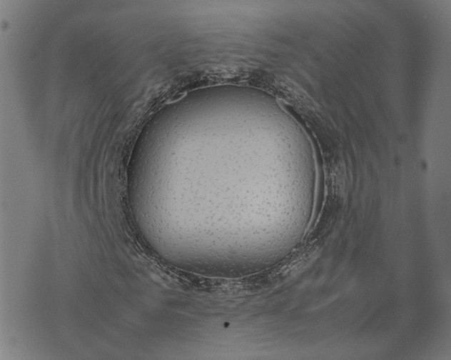 X0000070380961200606231708