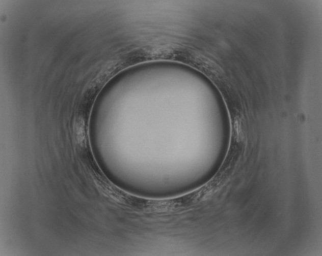 X0000070380963200606231708