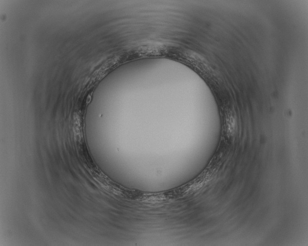 X0000070380964200606231708