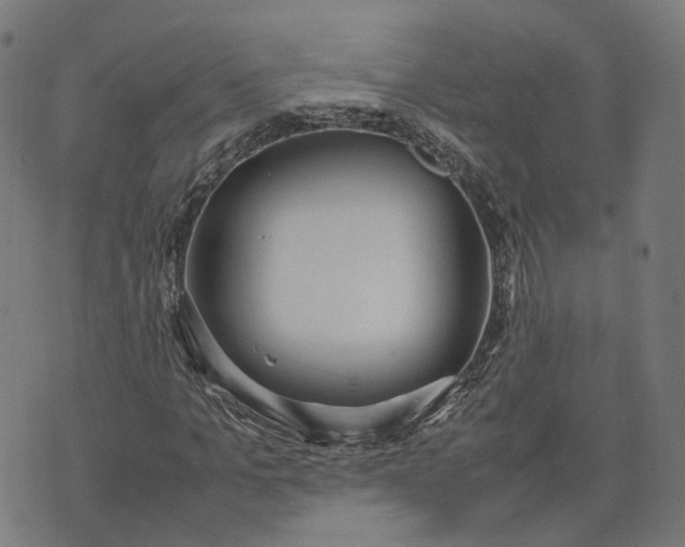 X0000070380965200606231708