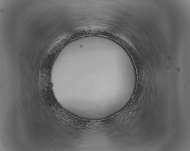 X0000070380967200606231708