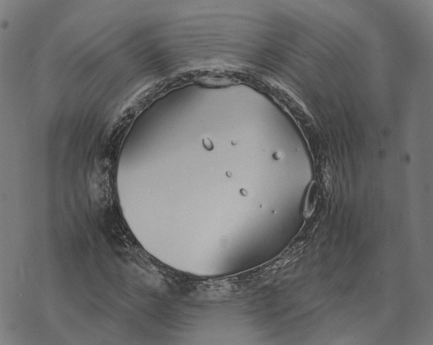 X0000070380968200606231708