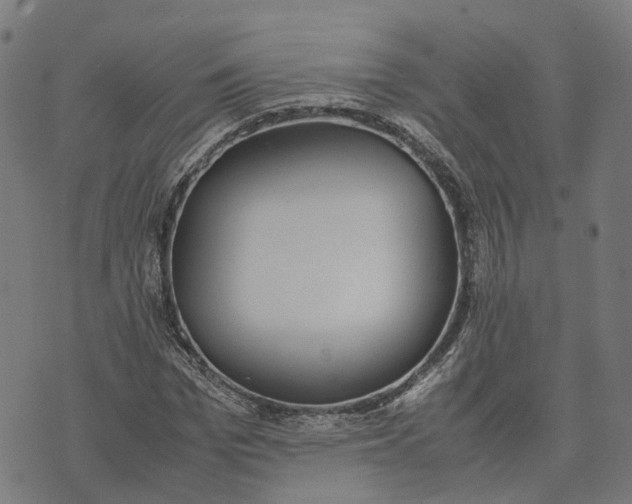 X0000070380969200606231708