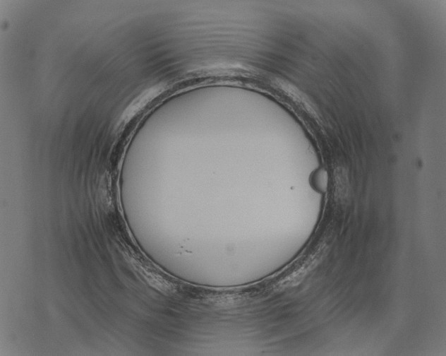 X0000070380970200606231708