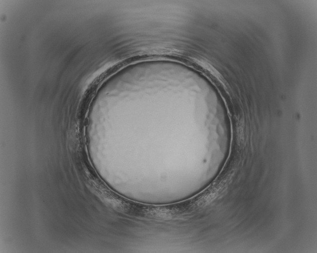 X0000070380971200606231708