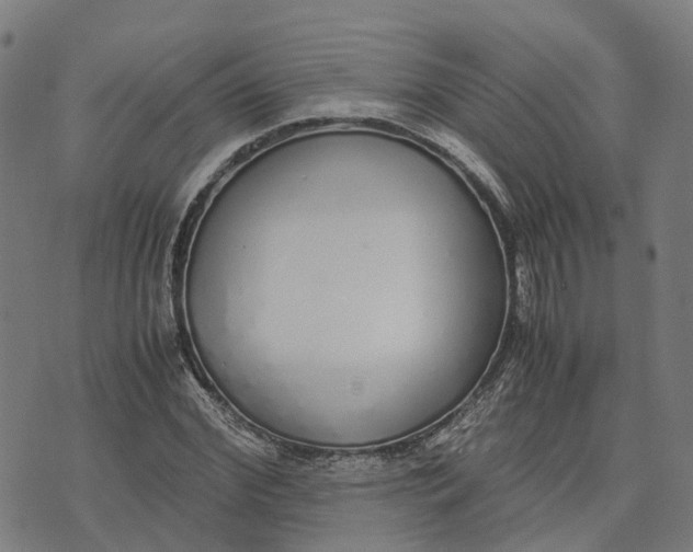 X0000070380972200606231708