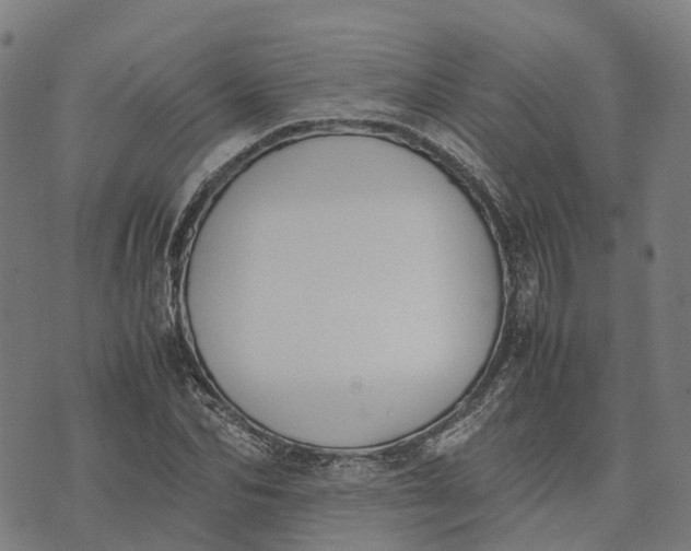 X0000070380974200606231708