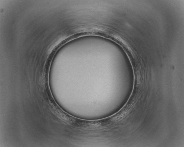 X0000070380975200606231708