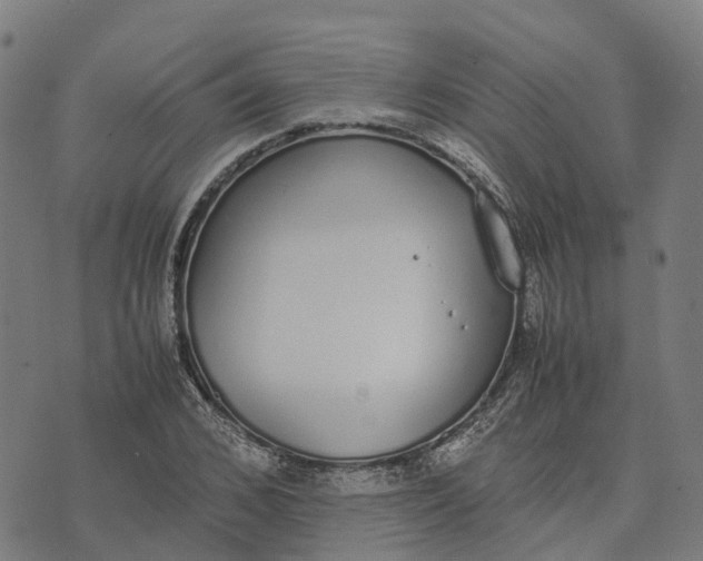 X0000070380976200606231708