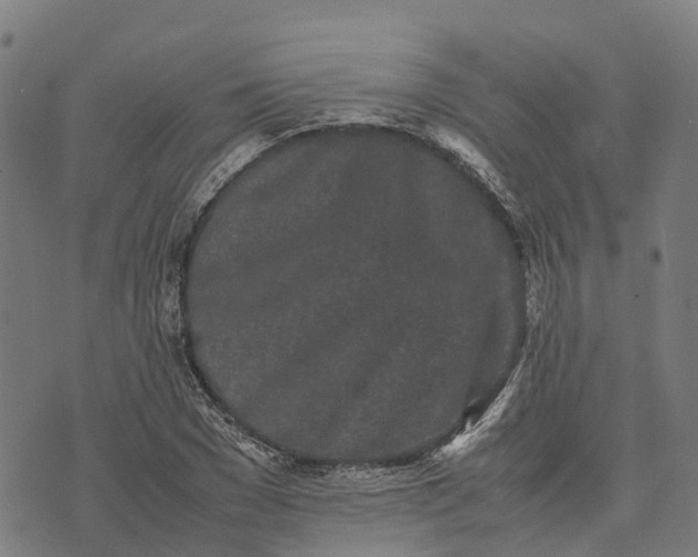 X0000070380977200606231708