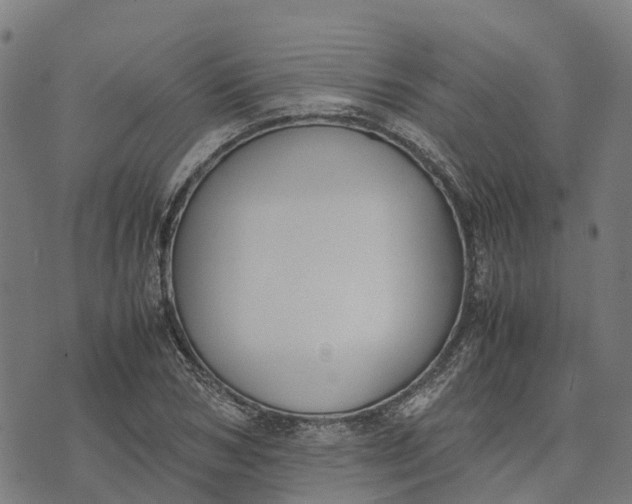 X0000070380978200606231708