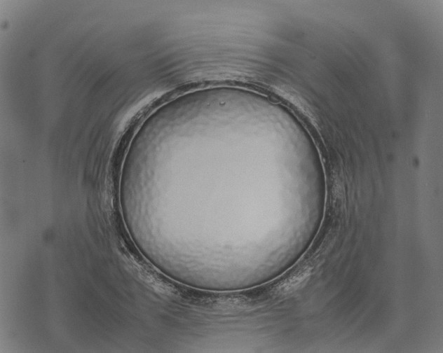 X0000070380979200606231708