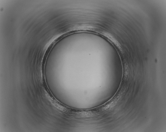 X0000070380980200606231708