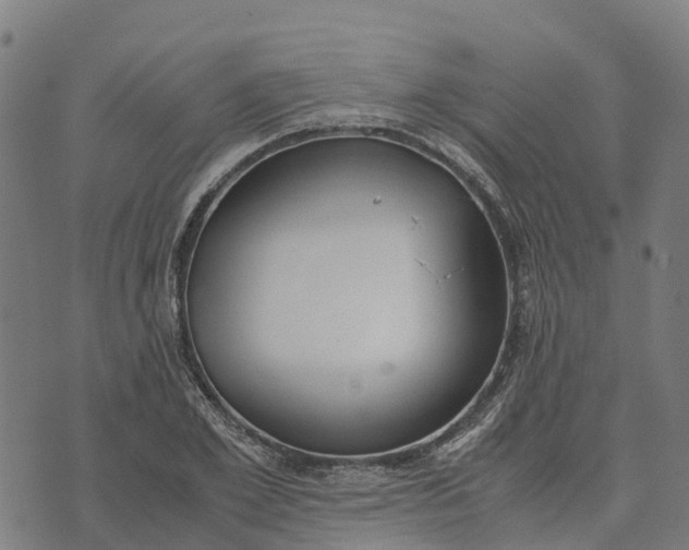 X0000070380981200606231708