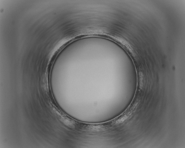 X0000070380982200606231708