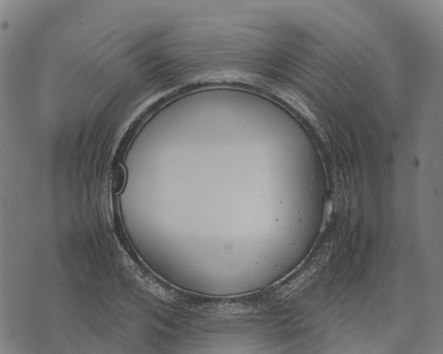 X0000070380984200606231708