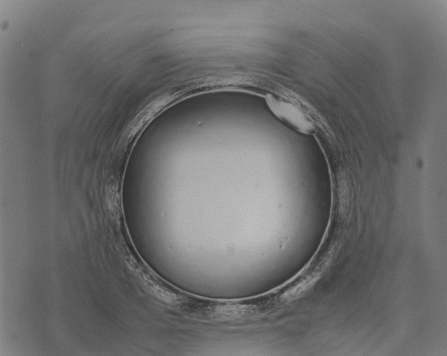 X0000070380985200606231708