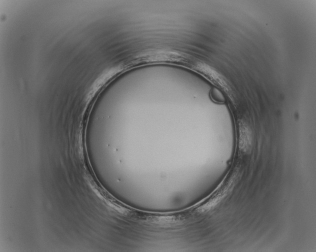 X0000070380986200606231708