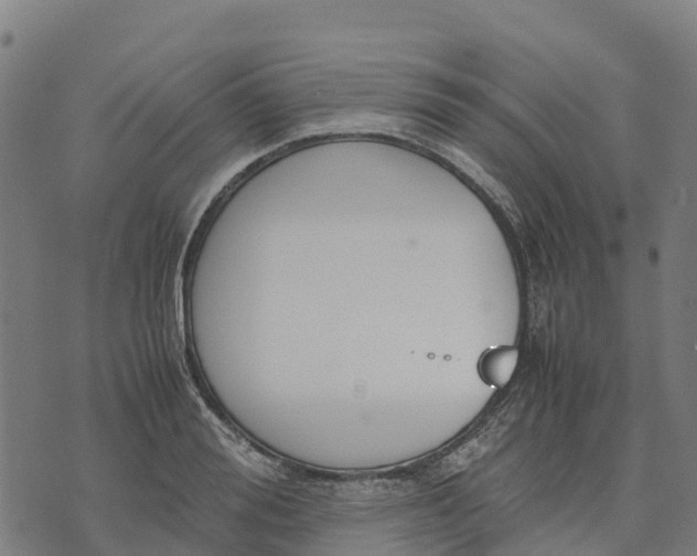 X0000070380988200606231708