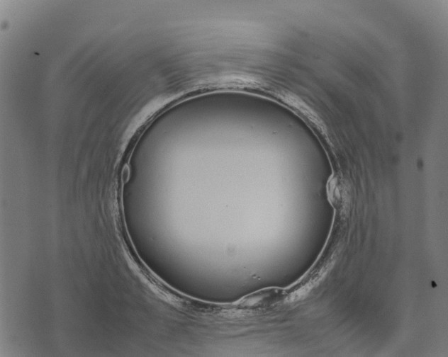 X0000070380989200606231708