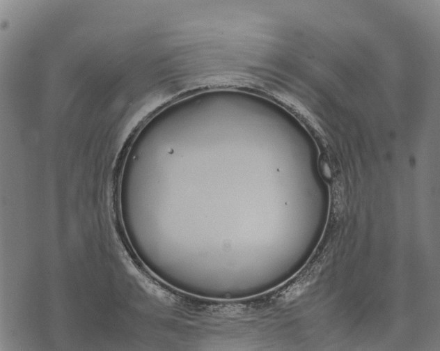 X0000070380991200606231708