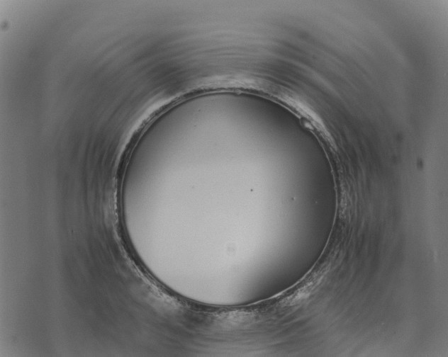 X0000070380992200606231708