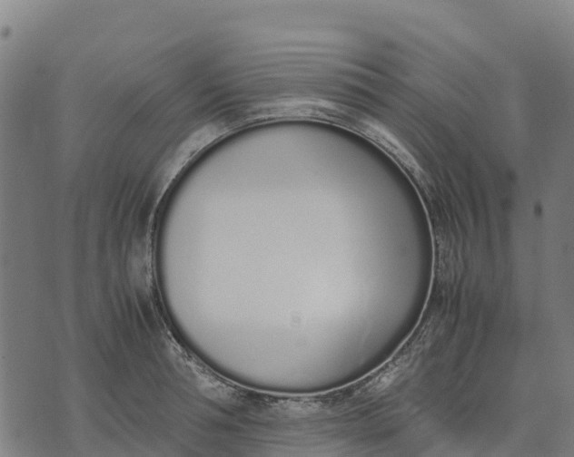 X0000070380994200606231708