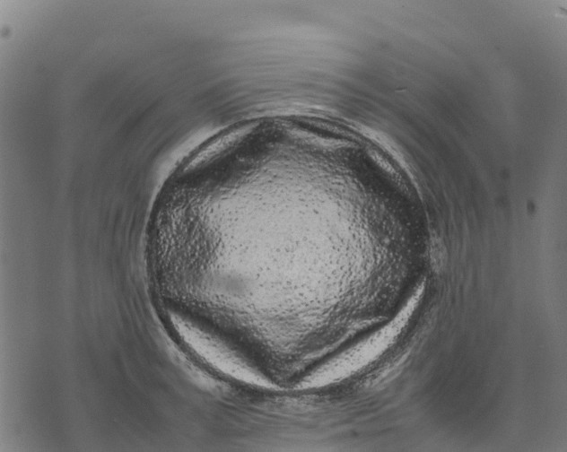 X0000070380995200606231708