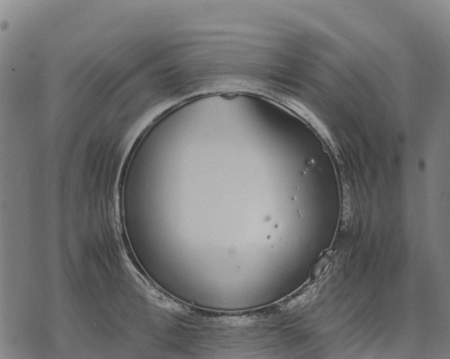 X0000070380996200606231708