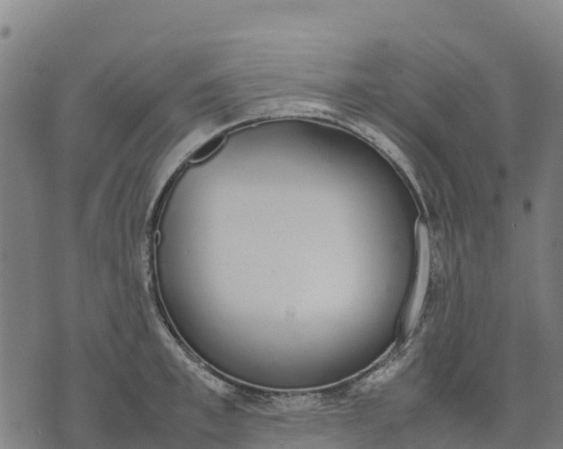 X0000070380997200606231708