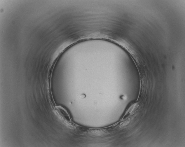 X0000070380998200606231708