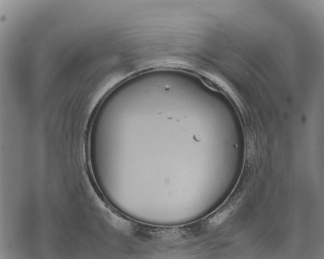 X0000070380999200606231708